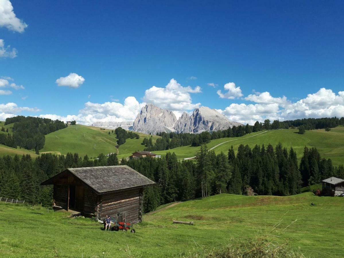 Kompatscherhof Castelrotto Dış mekan fotoğraf