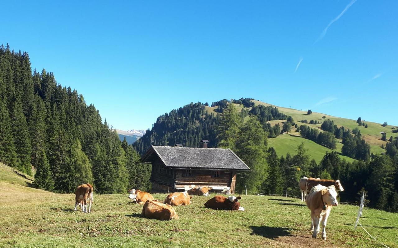 Kompatscherhof Castelrotto Dış mekan fotoğraf